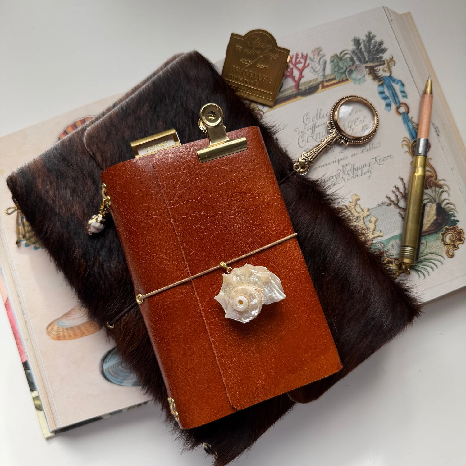 Journal Covers | August 2nd, 2026-2