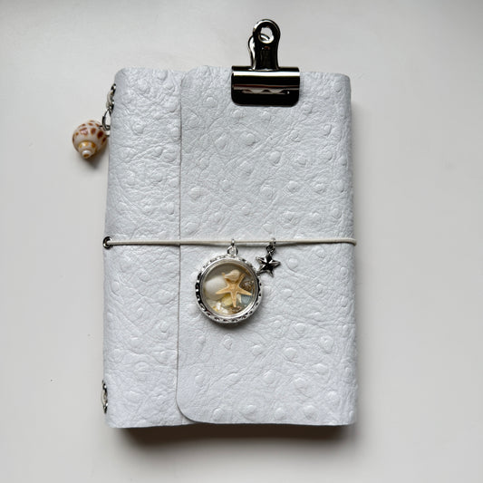 The Shell Keeper | A6